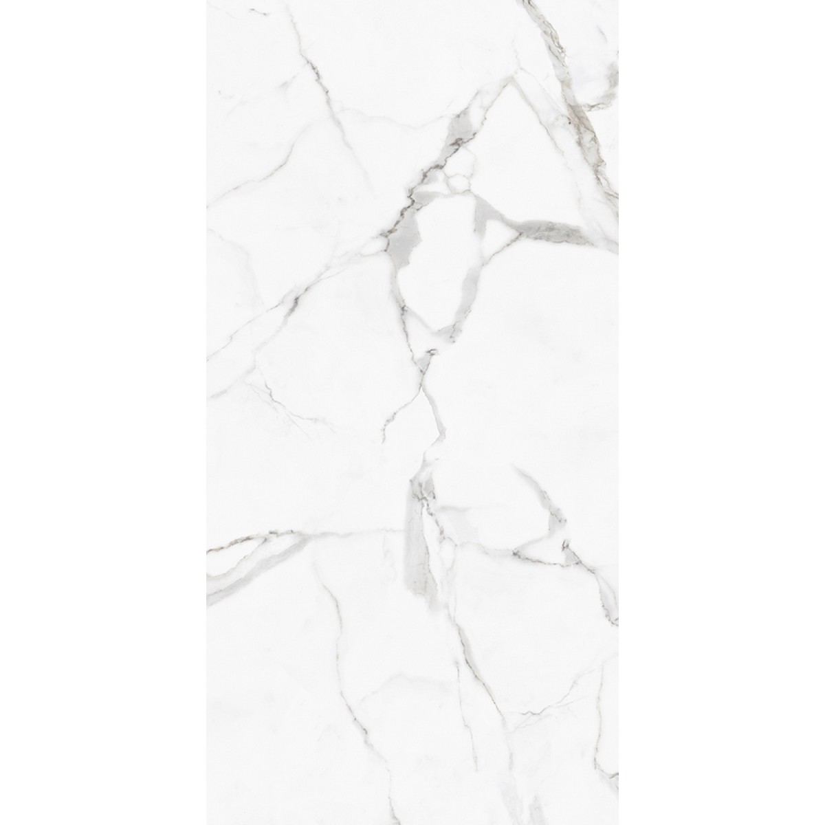 Porcelanato 62x121 Acetinado CALACATA - Damme