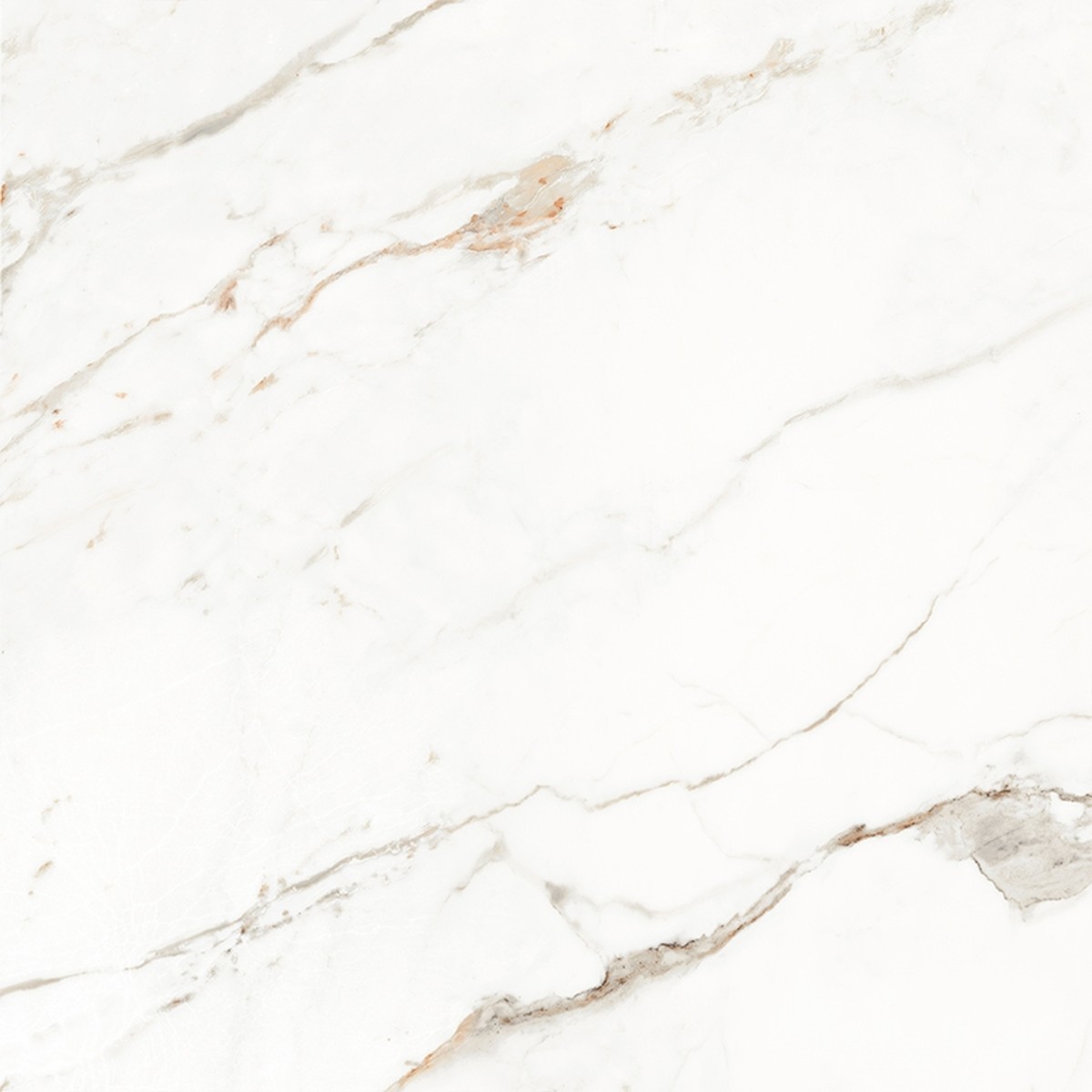 Porcelanato 82x82 cm Polido CAPRAIA - Damme