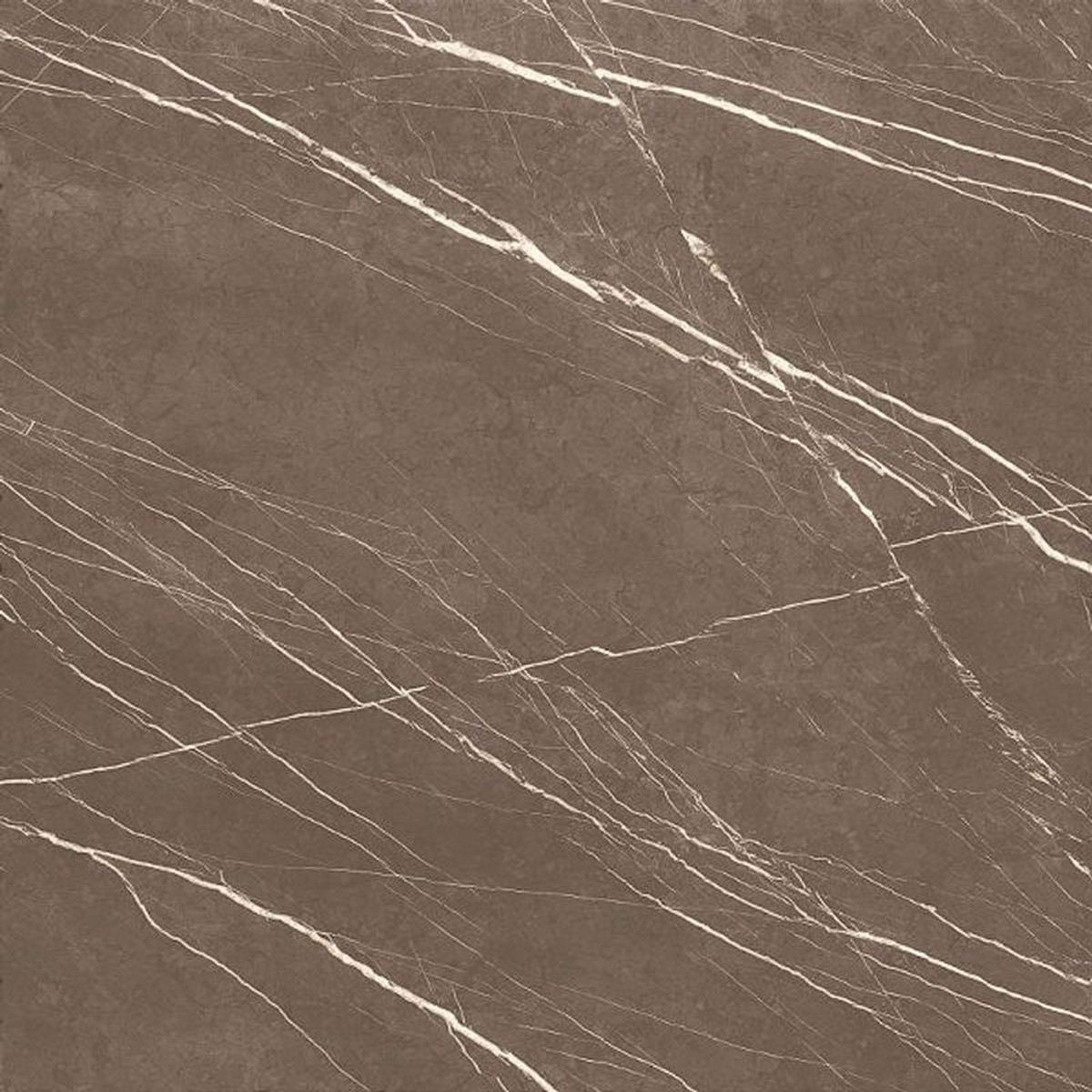Porcelanato 120x120 cm Polido ARMANI BRONZO - Damme