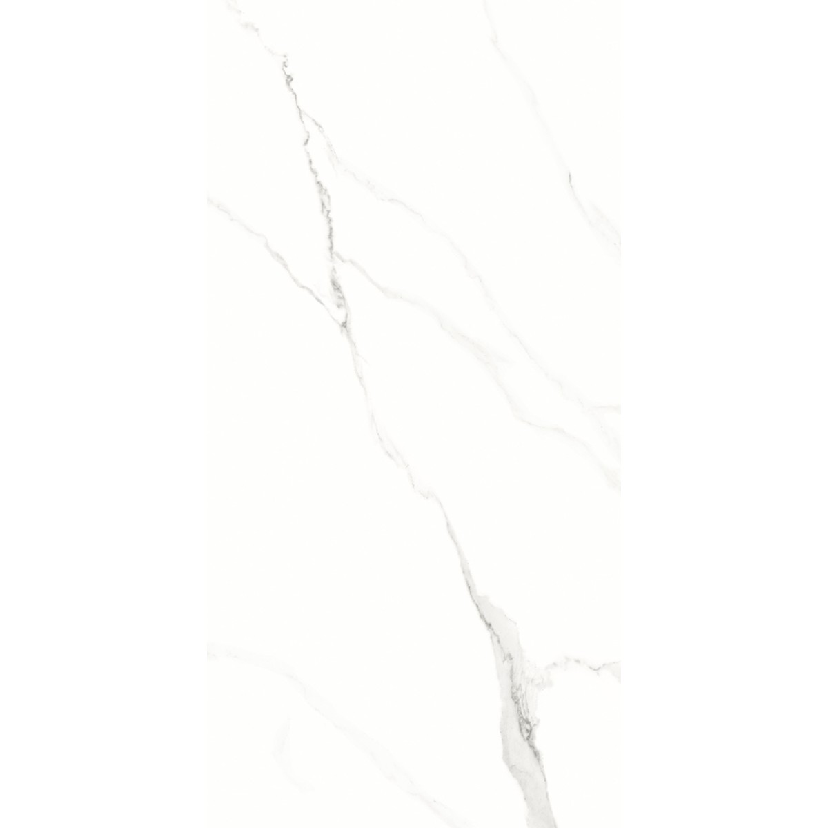 Porcelanato 62x121 cm Polido STATUARIO - Damme
