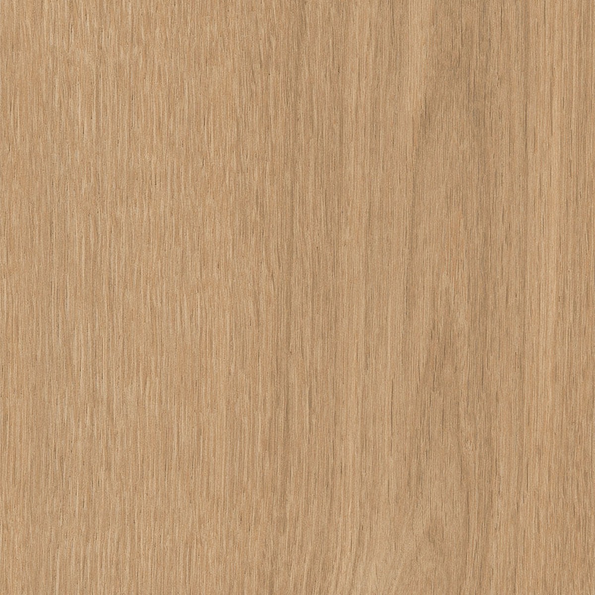 Porcelanato 20x120 cm PP CARVALHO NATURAL ABS R - Incepa