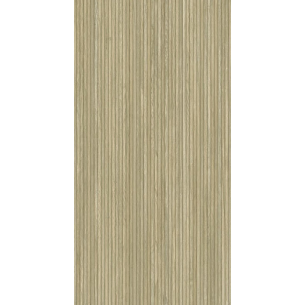 Porcelanato 62x122 cm HOUSE FREIJO - Castelli