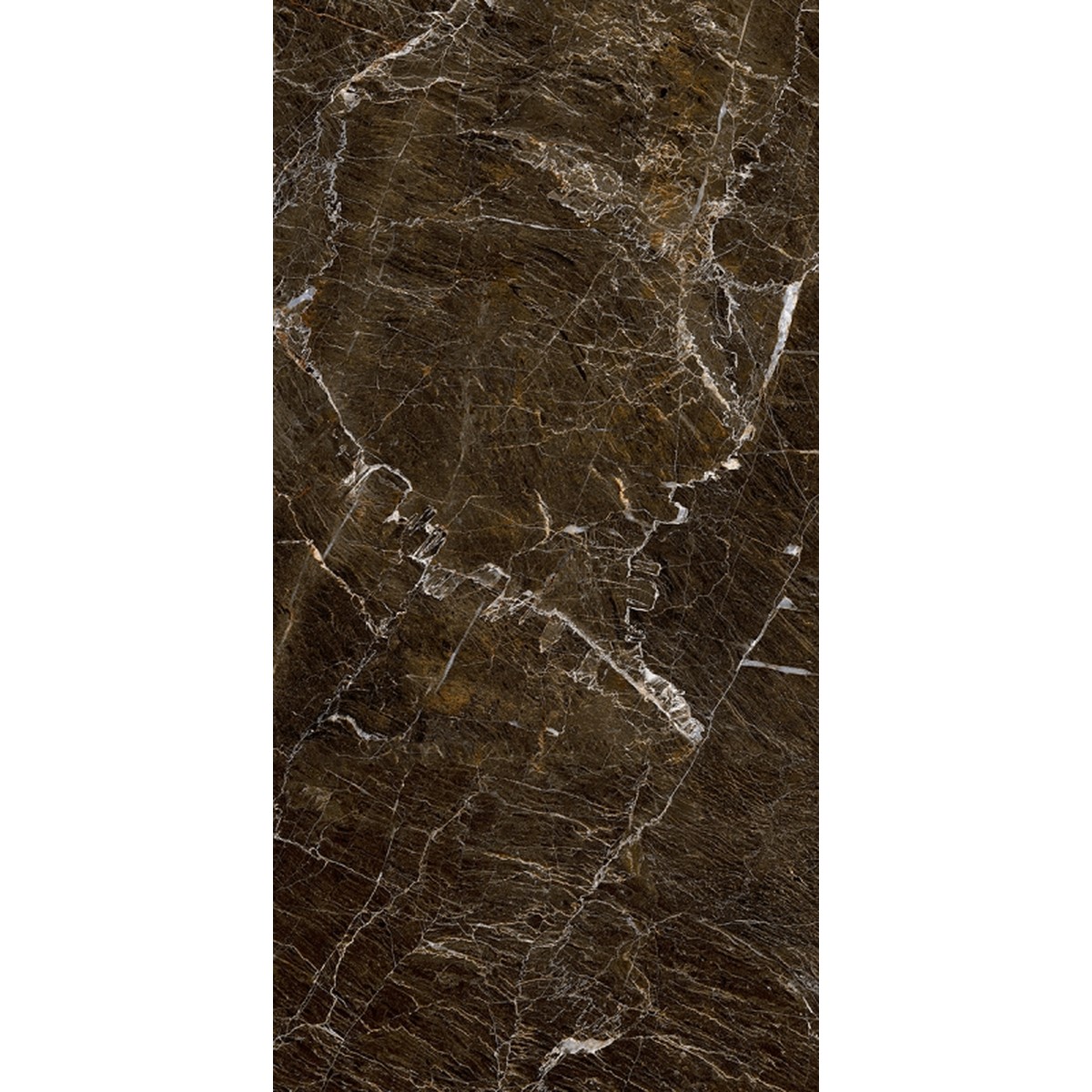 Porcelanato 61x120 cm Elegant Brown Polido - Damme