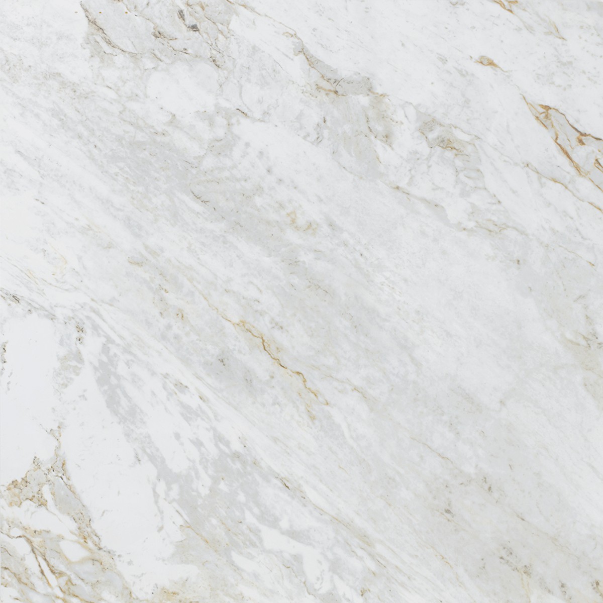 Porcelanato Mármore Paraná Micro Cristal Polido 120x120 - Roca Select