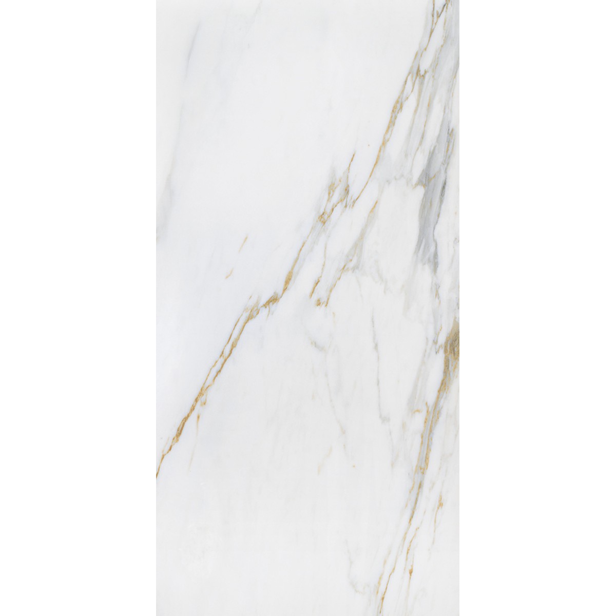 Porcelanato Calacata Gold Mate 60x120 cm - Roca