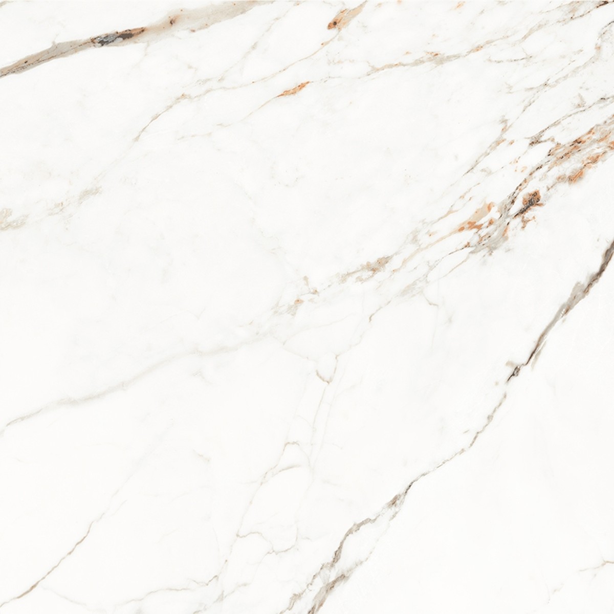 Porcelanato 82x82 cm Polido CAPRAIA - Damme