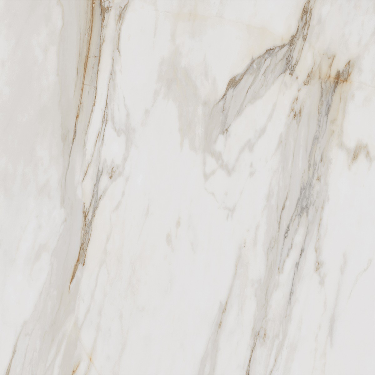 Porcelanato Calacata Gold Mate 90x90 cm - Roca