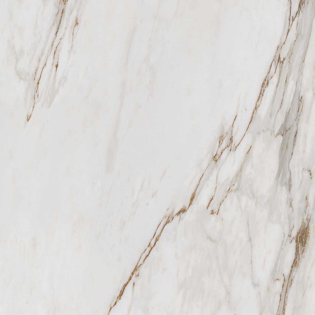 Porcelanato Calacata Gold Mate 90x90 cm - Roca