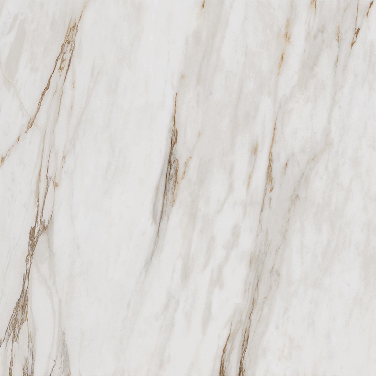Porcelanato Calacata Gold Mate 90x90 cm - Roca