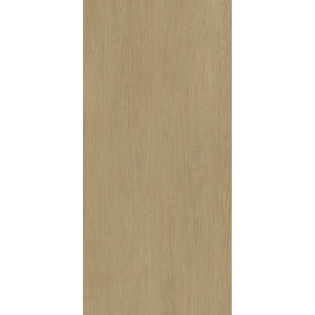 Porcelanato Legno Rovere Matte 120x250 cm - Roca