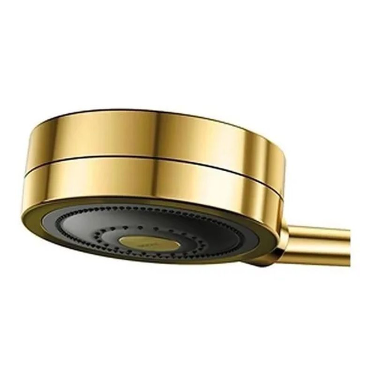 Chuveiro Novo Technoshower Ouro Polido - Docol