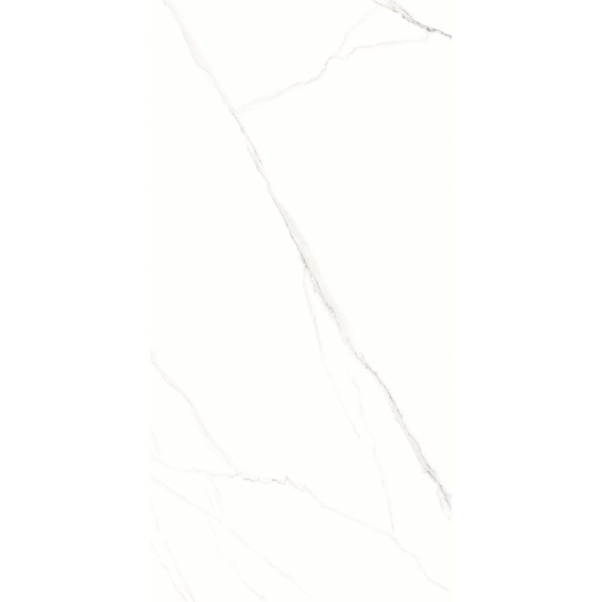 Porcelanato 62x121 cm Polido STATUARIO - Damme