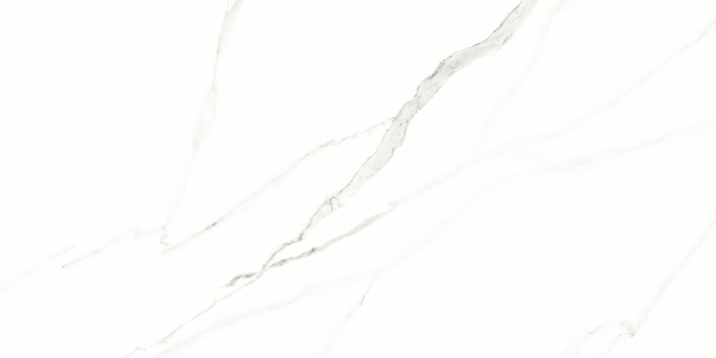 Porcelanato 62x121 cm Polido STATUARIO - Damme