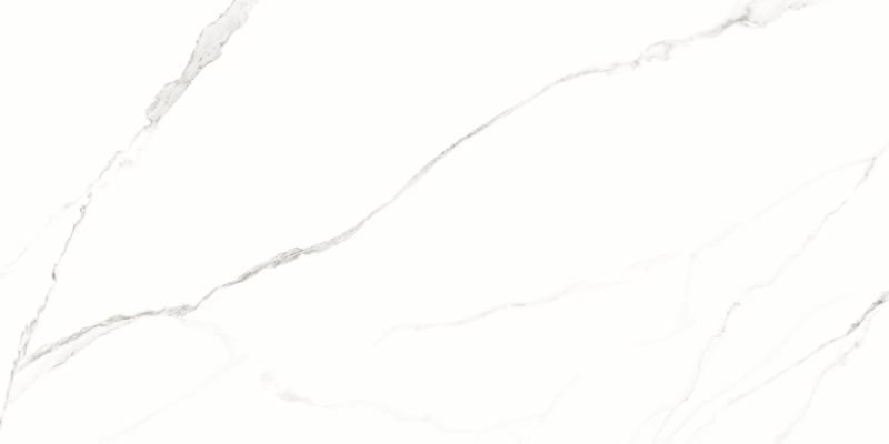 Porcelanato 62x121 cm Polido STATUARIO - Damme