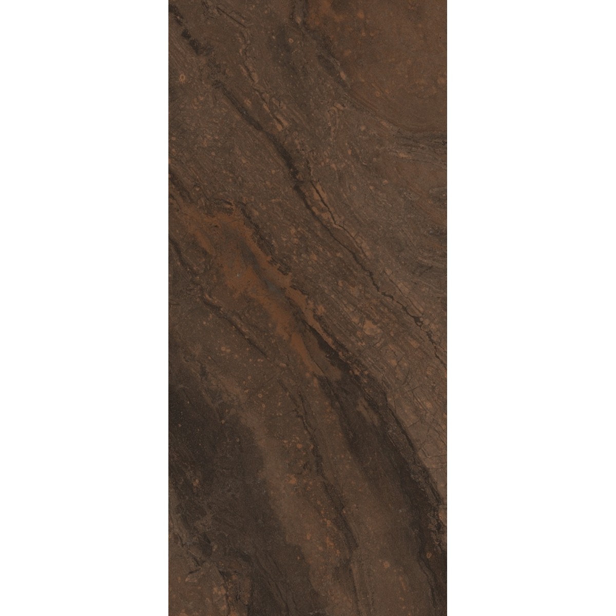 Porcelanato 82x182 cm Polido MARRONE - Damme