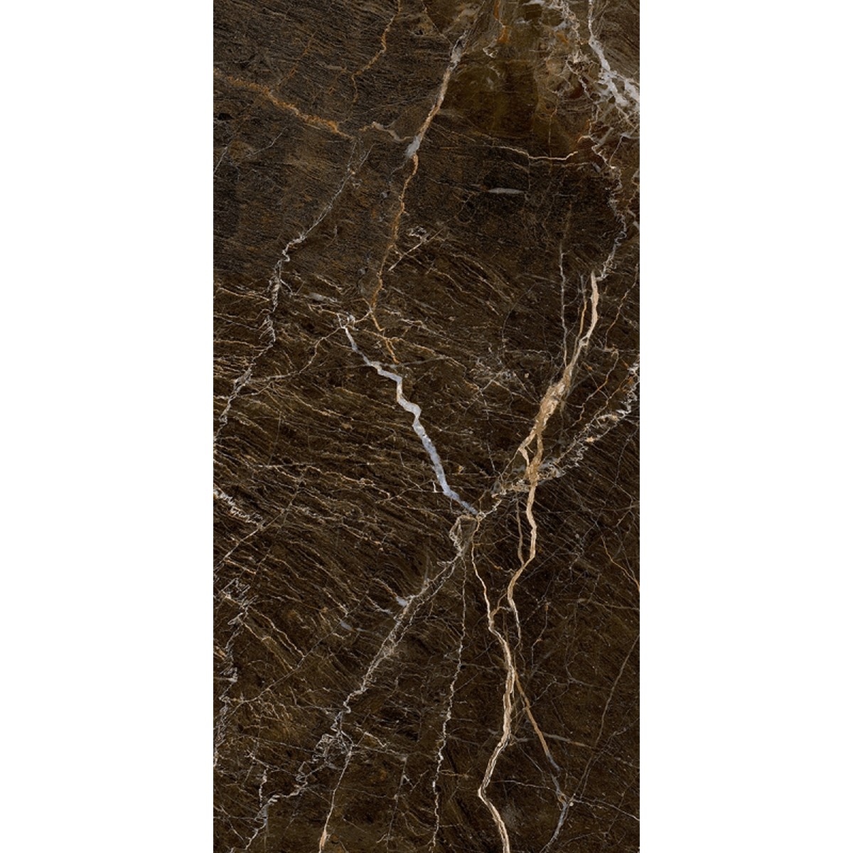 Porcelanato 61x120 cm Elegant Brown Polido - Damme