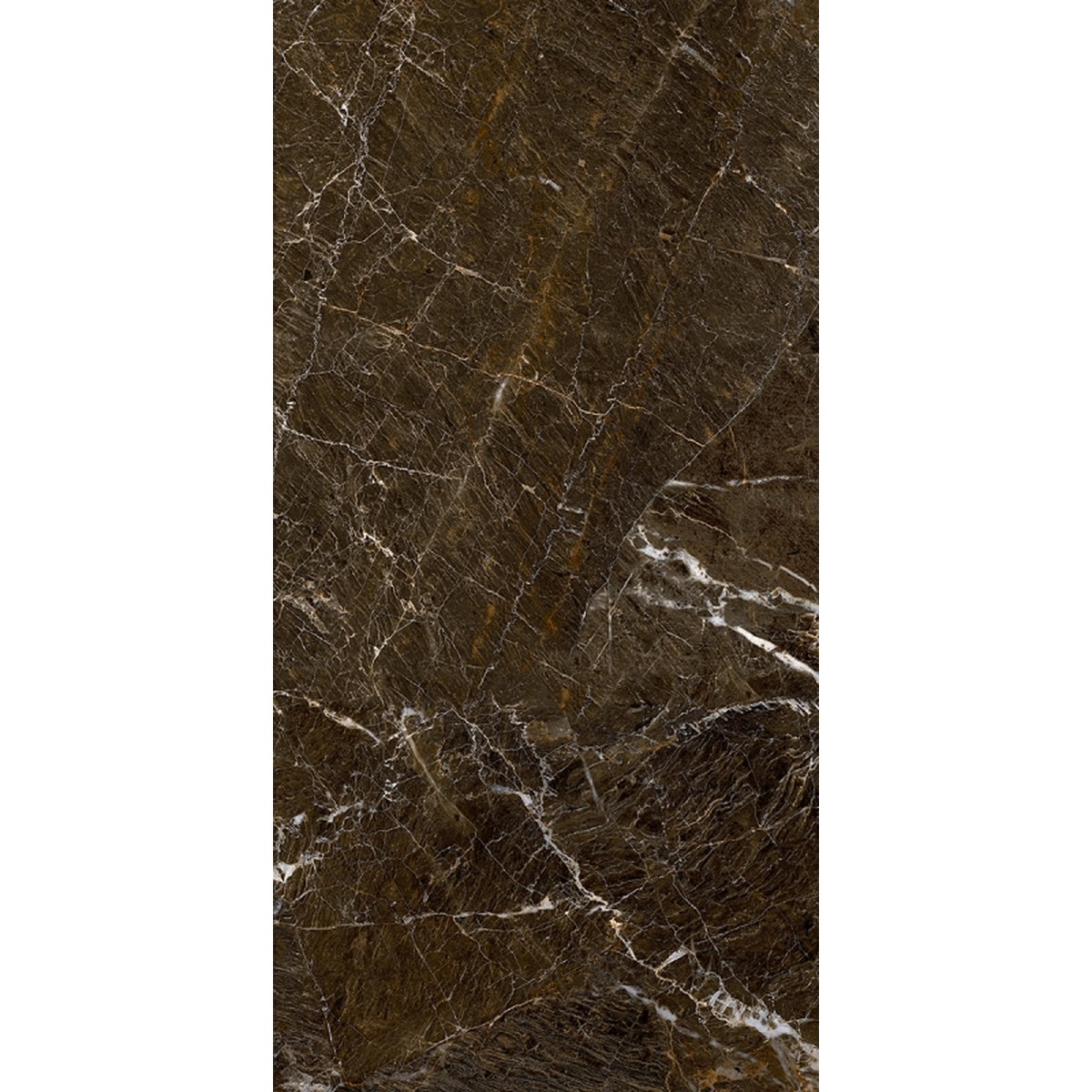 Porcelanato 61x120 cm Elegant Brown Polido - Damme