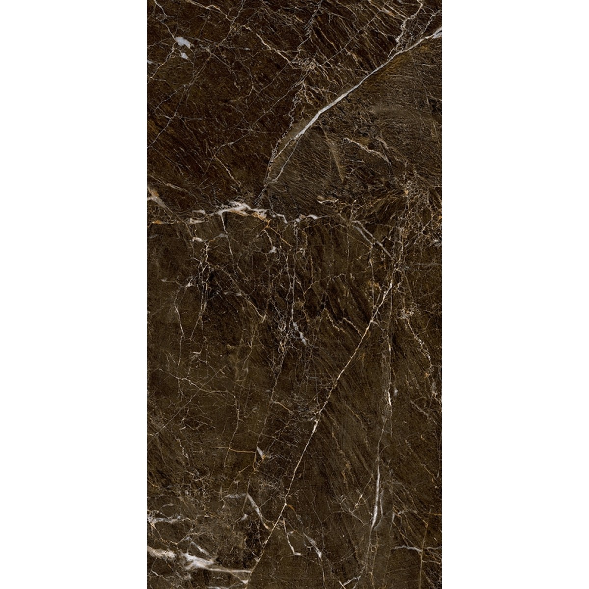 Porcelanato 61x120 cm Elegant Brown Polido - Damme